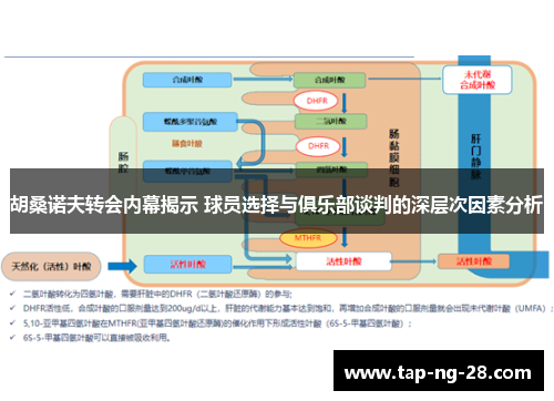 胡桑诺夫转会内幕揭示 球员选择与俱乐部谈判的深层次因素分析
