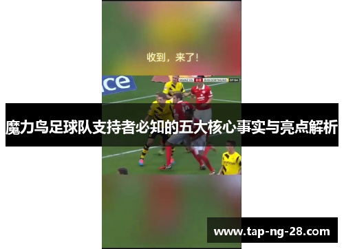 魔力鸟足球队支持者必知的五大核心事实与亮点解析 魔力鸟足球队支持者必知的五大核心事实与亮点解析